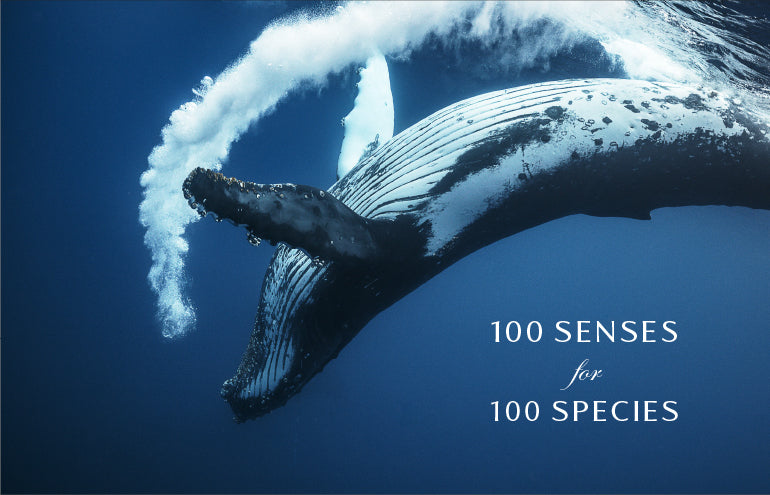 100 SENSES for 100 SPECIES: OUR GIVING PLEDGE