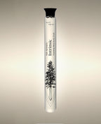 Intrinsic Green Tea glass Foaming Cylinder Soak with evergreen tree illustration, standing against a warm neutral background.