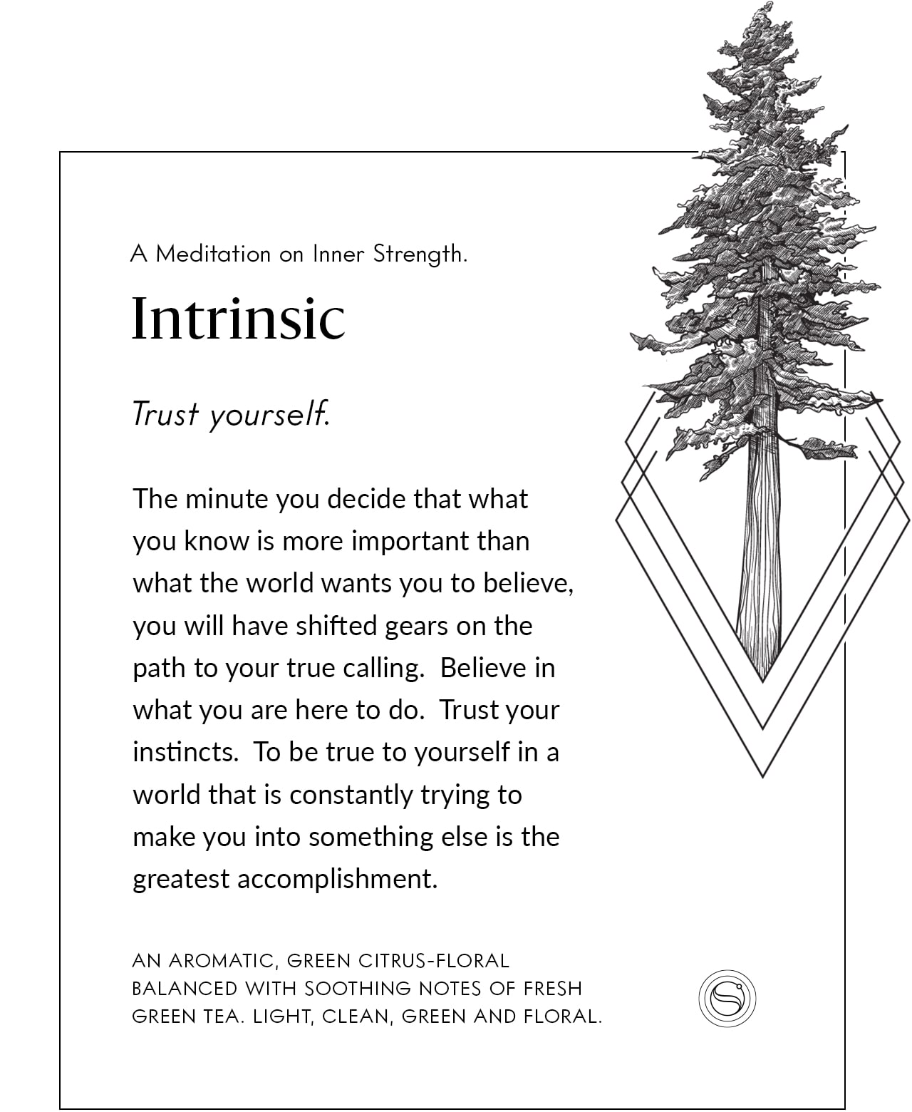 Intrinsic meditation card with an evergreen tree illustration.