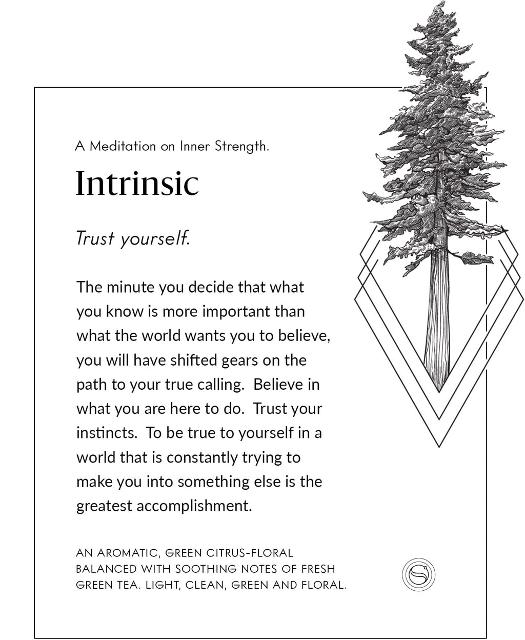 Intrinsic meditation card with an evergreen tree illustration.