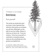 Intrinsic meditation card with an evergreen tree illustration.